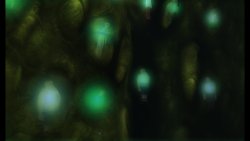 20201013143712_1